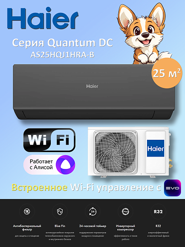 - Haier Quantum DC AS25HQJ1HRA-B